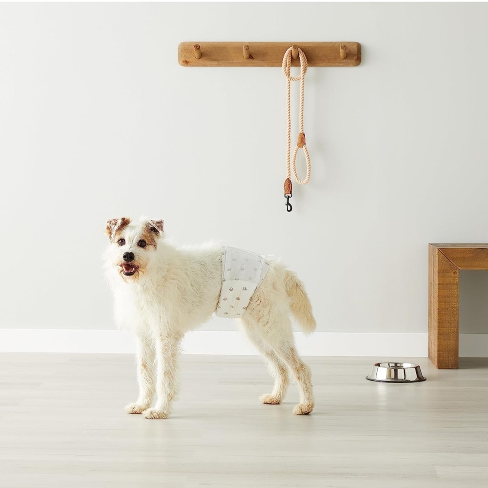 Dog Disposable Diaper M Quantity 2 boxes of 30